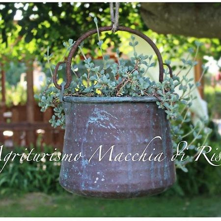 Agriturismo Macchia Di Riso Nova Siri Marina Exterior foto